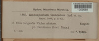 Image Associated With the Occurence